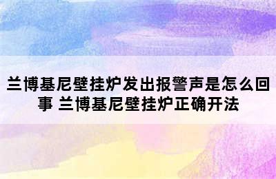 兰博基尼壁挂炉发出报警声是怎么回事 兰博基尼壁挂炉正确开法